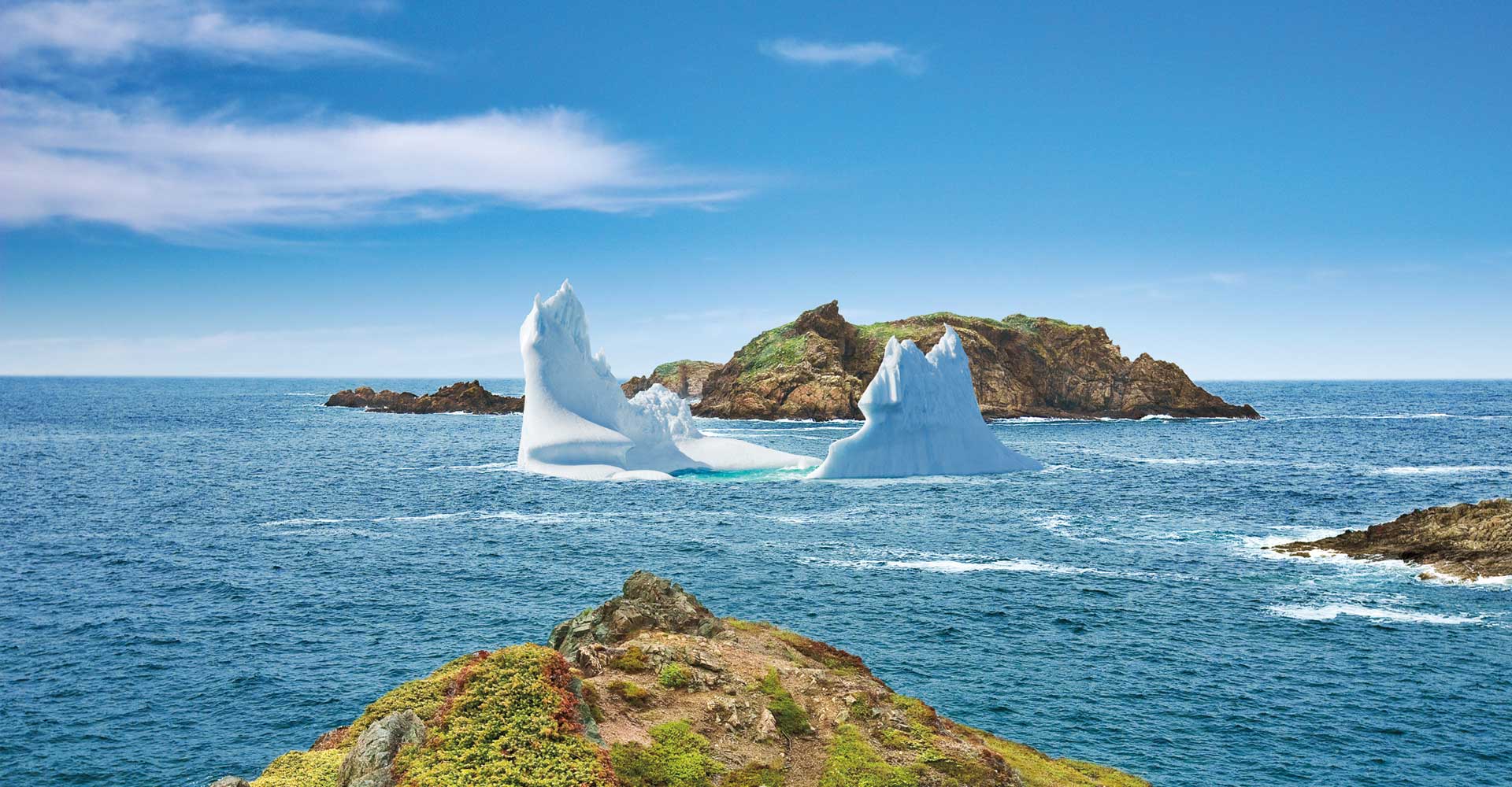 Whales Birds <br>&#038; Bergs - Maxxim Vacations - Atlantic Canada Tours &amp; Vacation Packages